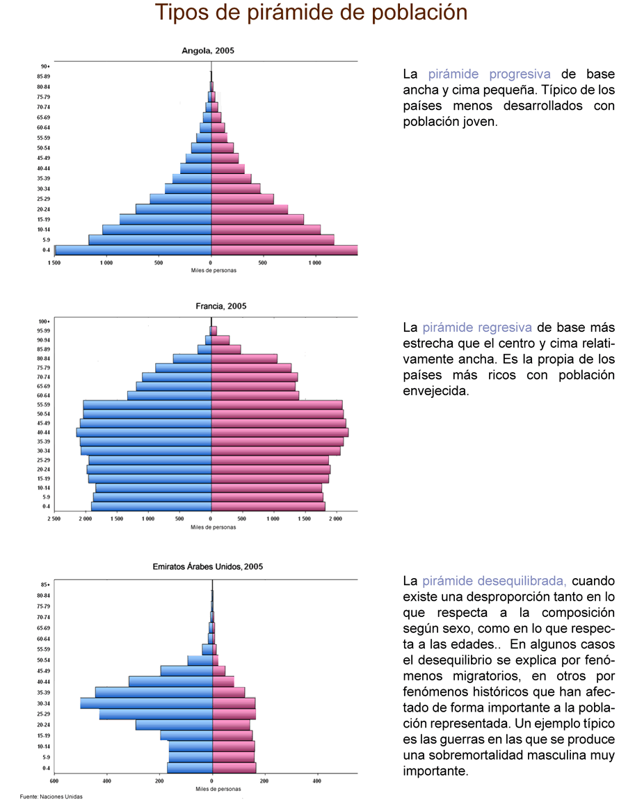 Tipos de pirámides de población - Blog de política y actualidad