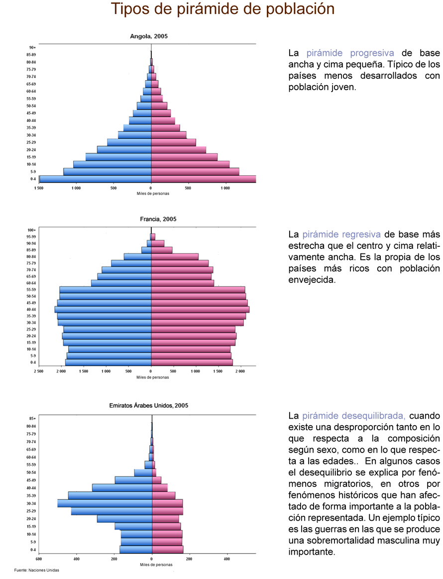 Tipos de pirámides de población